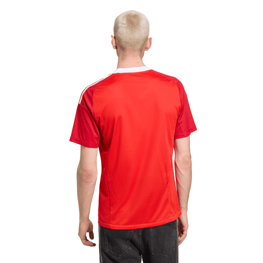 Camisa Flamengo Goleiro 2025/26 Third