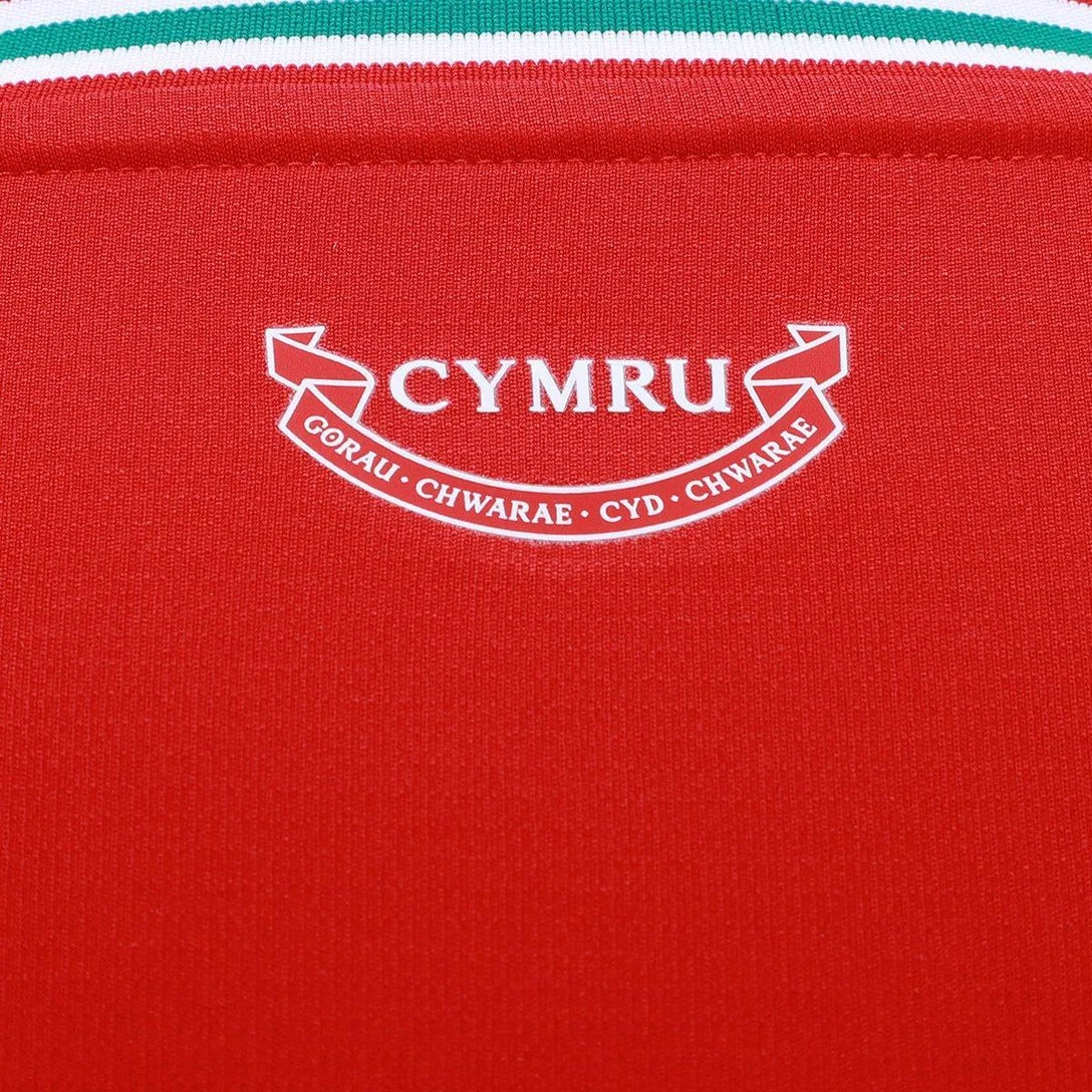 Camisa País de Gales FWC26 Home