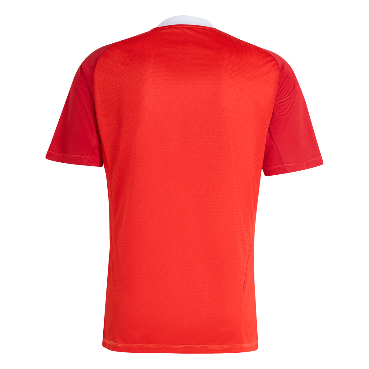 Camisa Flamengo Goleiro 2025/26 Third