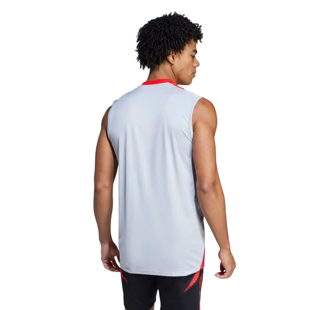 Camisa Regata Internacional 2025/26 Treino Cinza