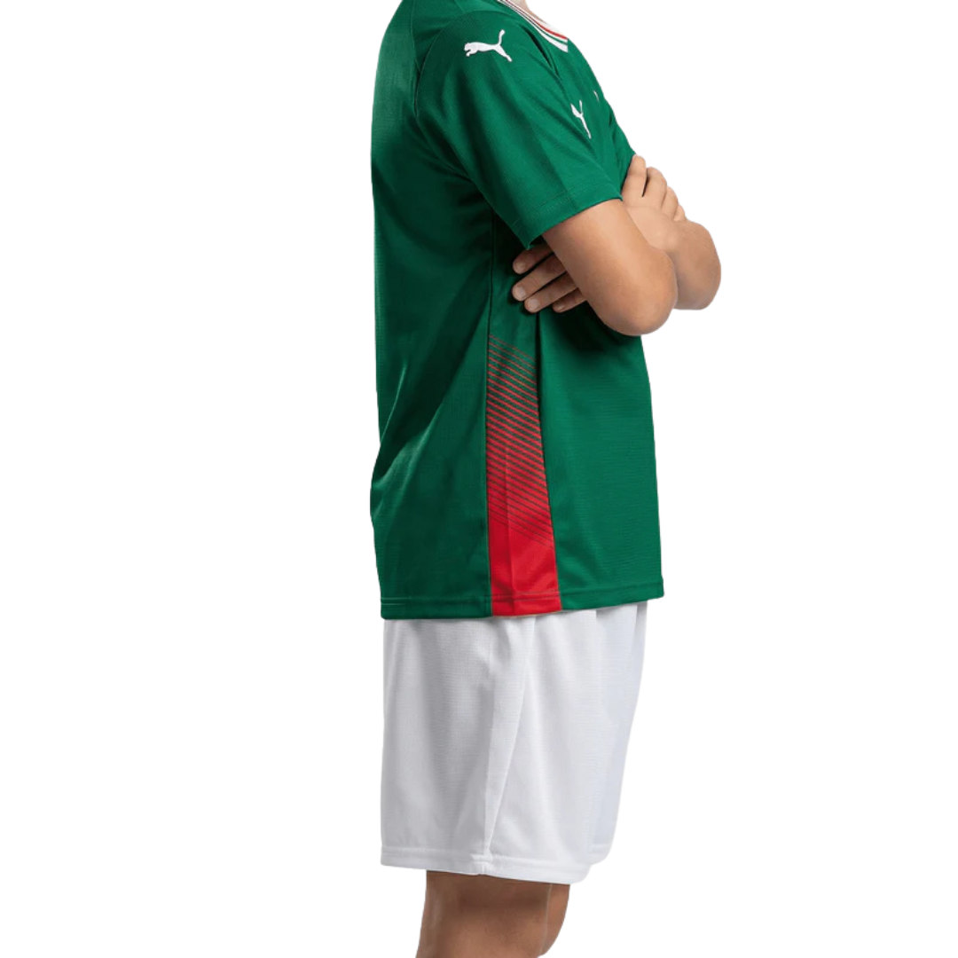 Kit Infantil Palmeiras 26/27 Home