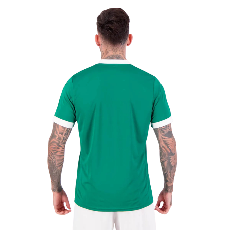 Camisa Palmeiras 25/26 Home