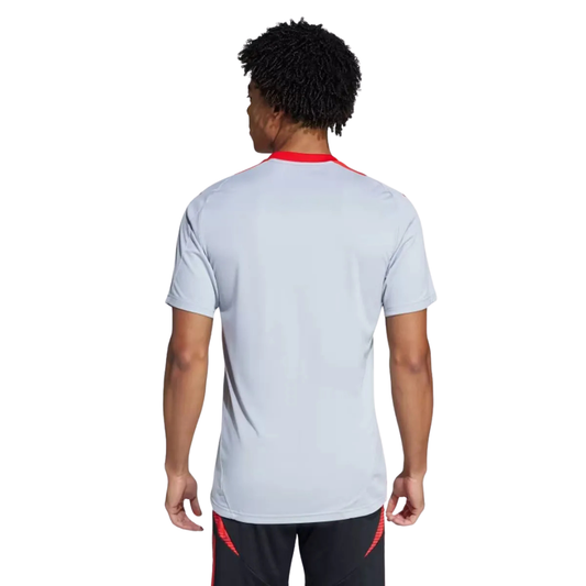 Camisa Internacional 2025/26 Treino Cinza