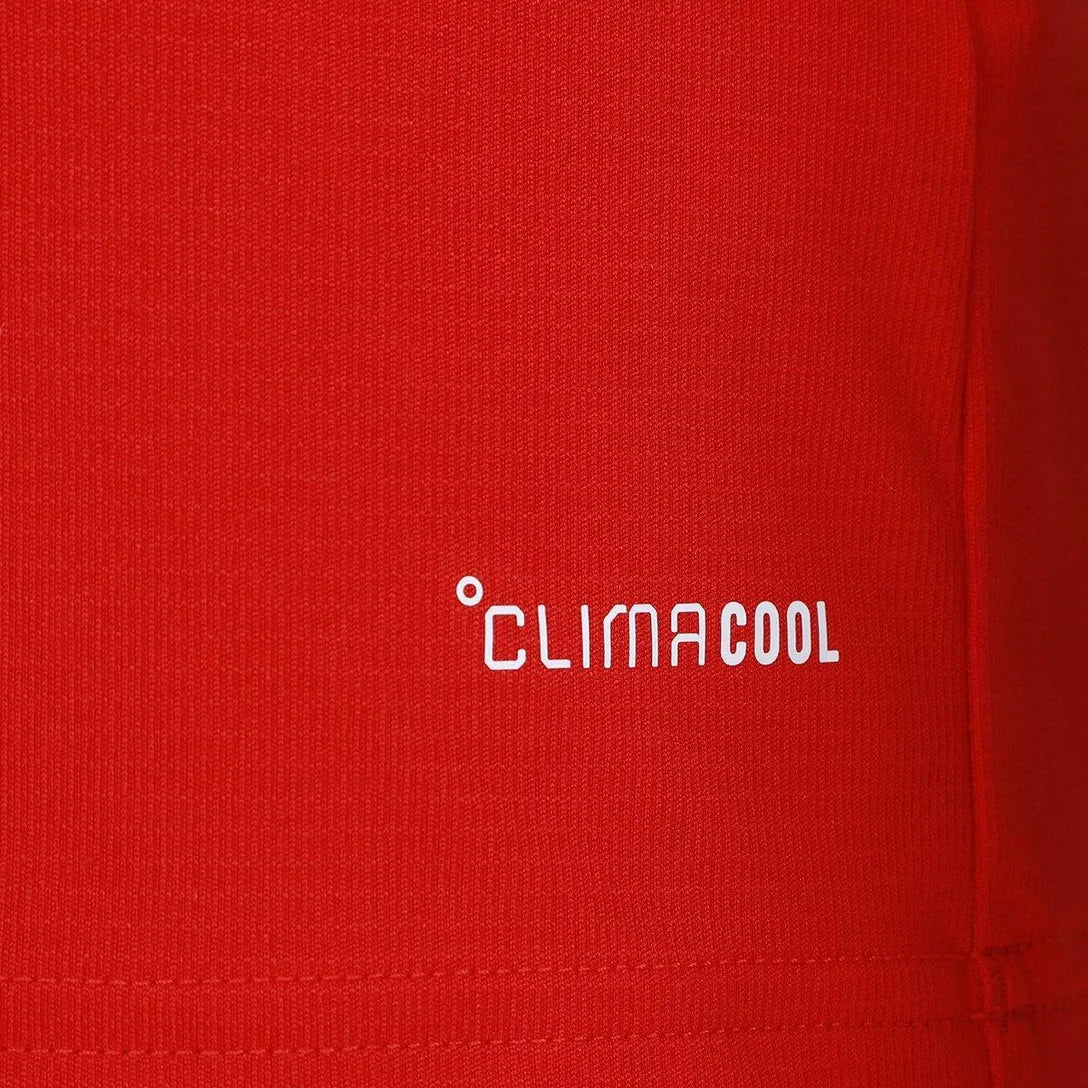 Camisa País de Gales FWC26 Home